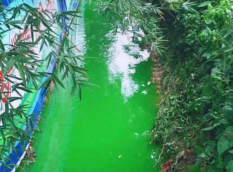 触目惊心！水全都“染绿”了！多家企业被查处！