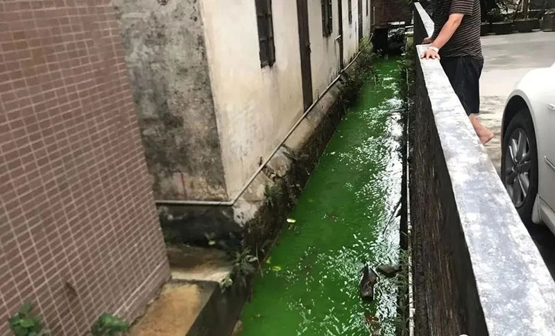 触目惊心！水全都“染绿”了！多家企业被查处！