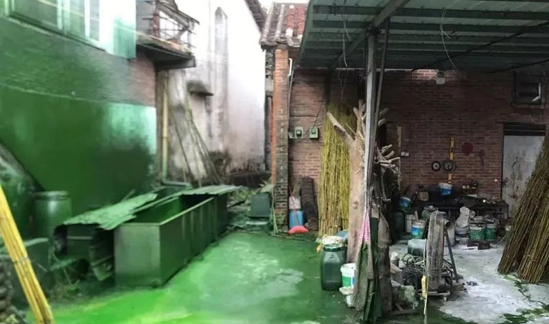 触目惊心！水全都“染绿”了！多家企业被查处！
